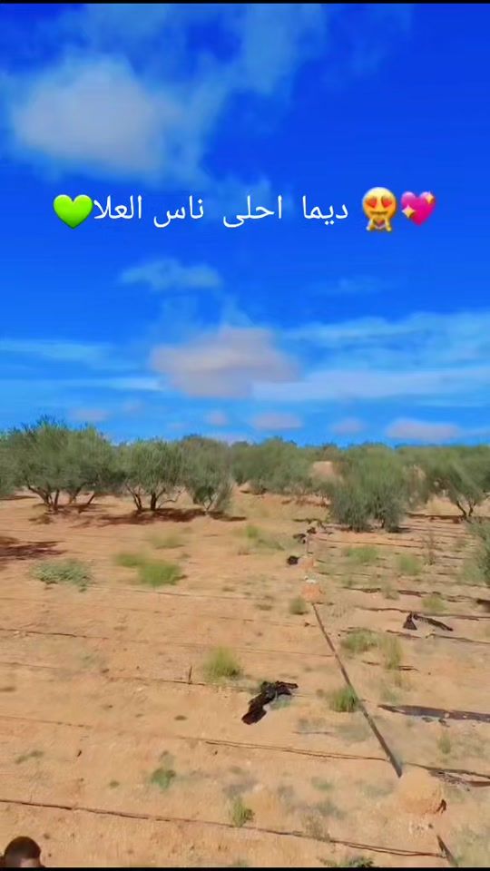TikTok video thumbnail by oum_ala_ghallabi
