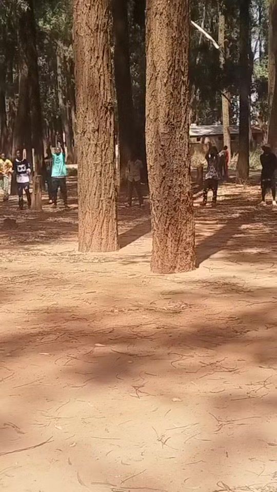 TikTok video thumbnail by marleymatondo1