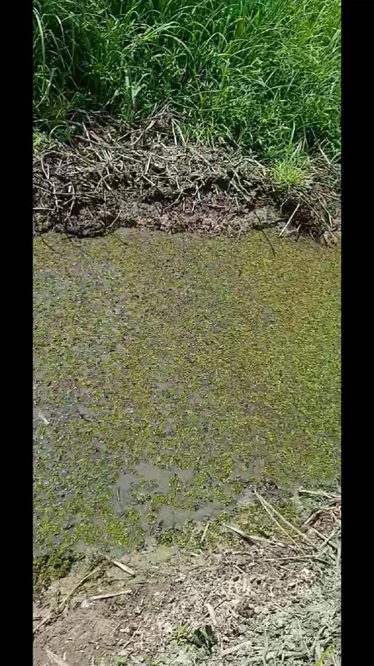 TikTok video thumbnail by boogie.out.side2