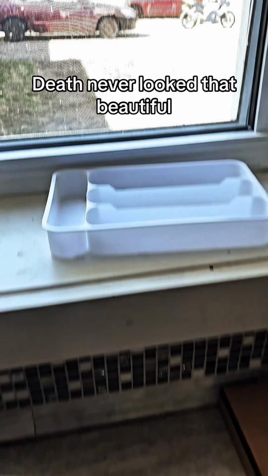 TikTok video thumbnail by mal_vautt