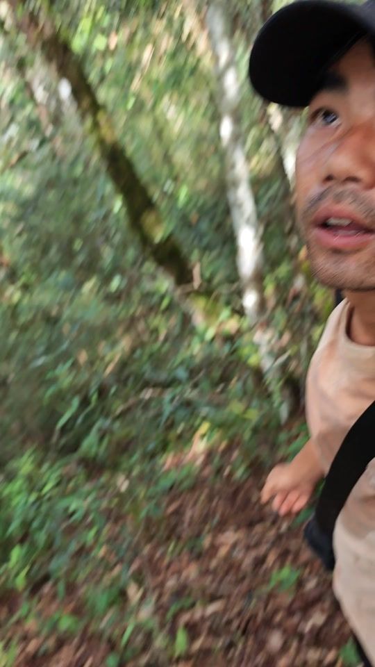 TikTok video thumbnail by orchid.hunter0