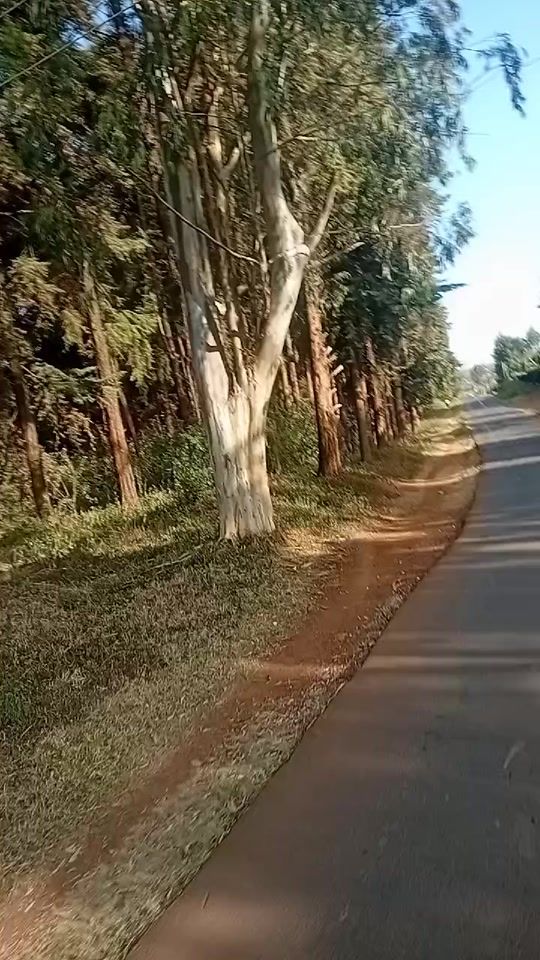 TikTok video thumbnail by brokermutai