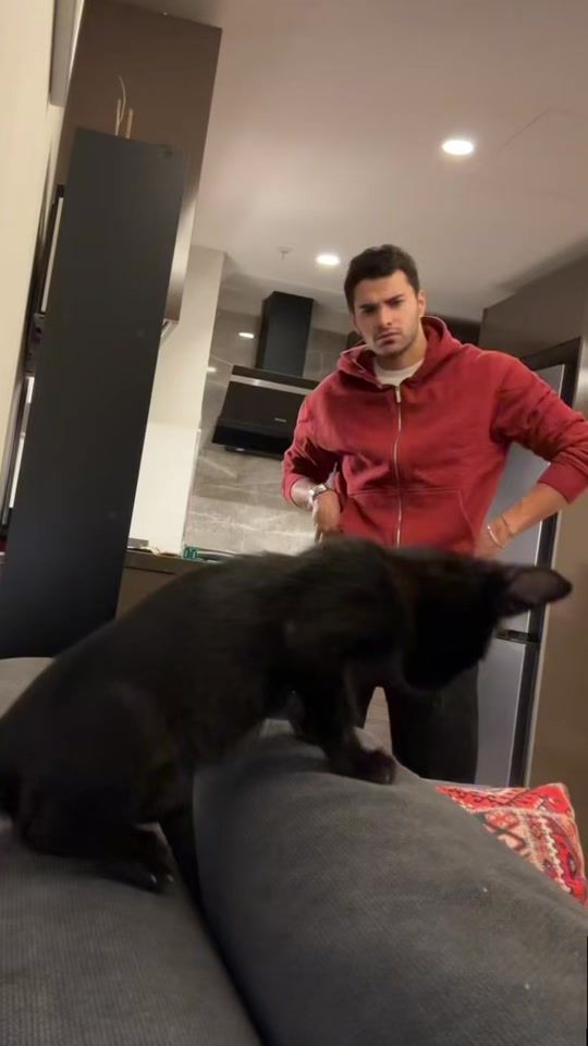 TikTok video thumbnail by npohh