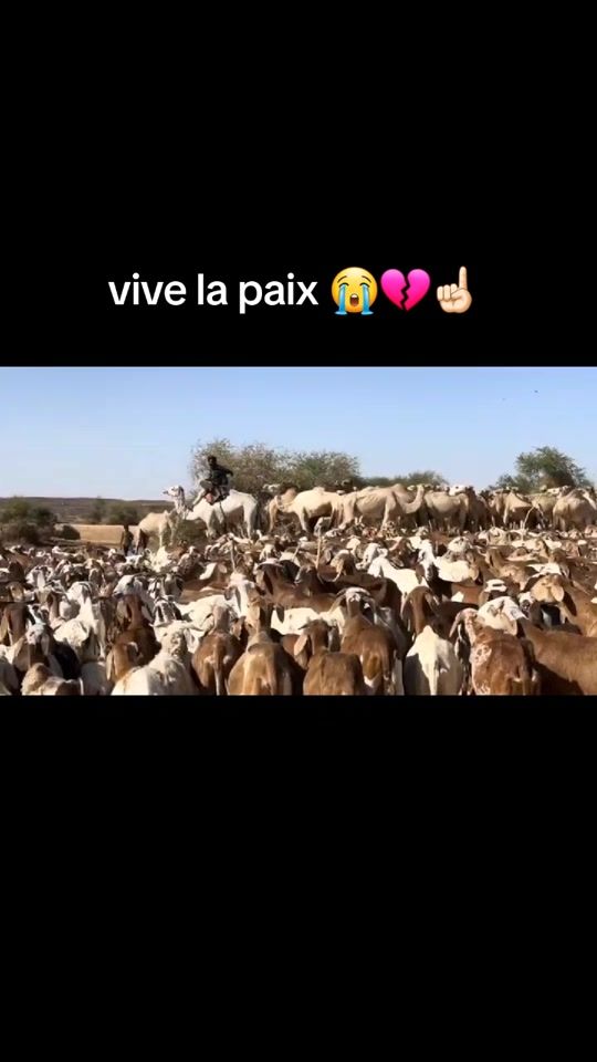 TikTok video thumbnail by nationall4