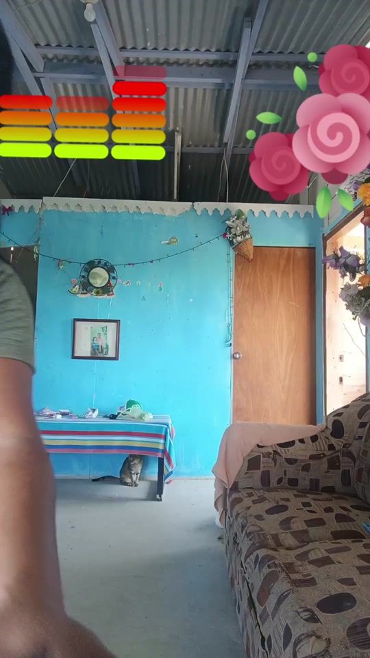 TikTok video thumbnail by mirnalsilva