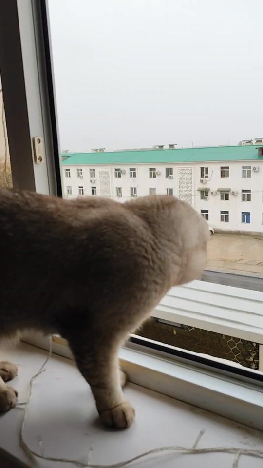 TikTok video thumbnail by e.kurbanowna