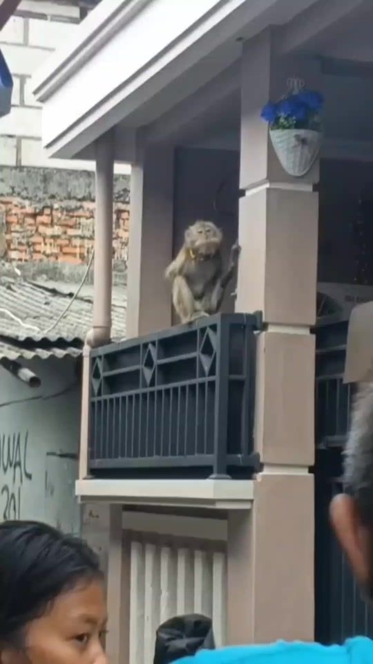TikTok video thumbnail by baimofficial_13