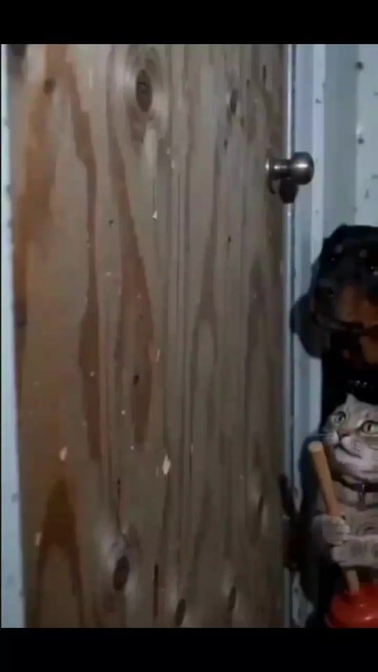 TikTok video thumbnail by mrdiazzy