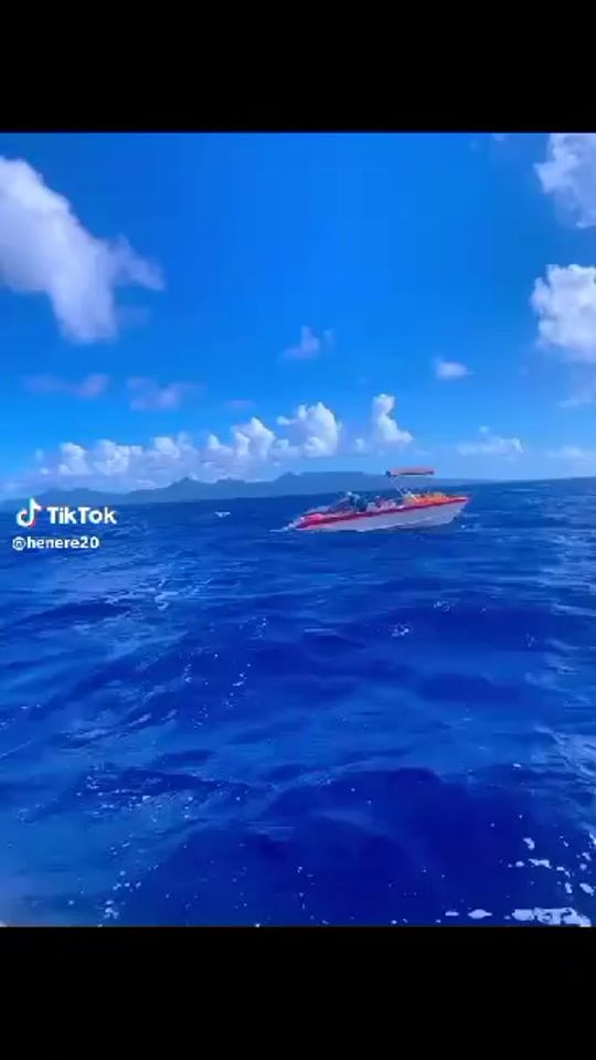 TikTok video thumbnail by tu.taimana
