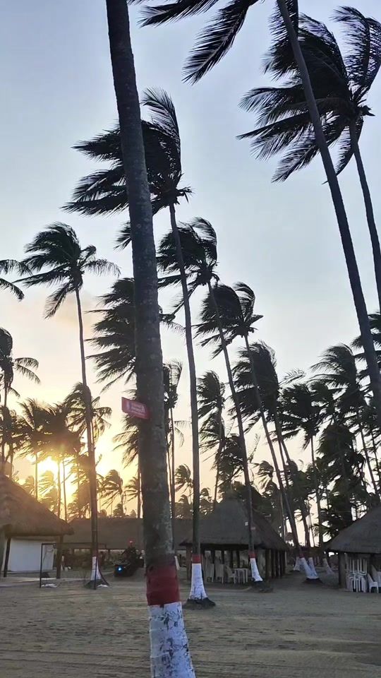 TikTok video thumbnail by chentitomc