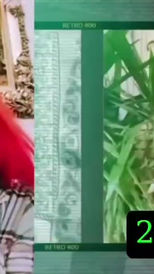 TikTok video thumbnail by joyayyad