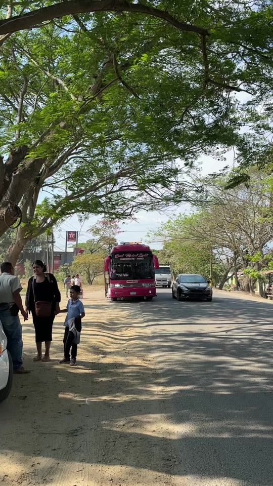 TikTok video thumbnail by _buses_hn_504
