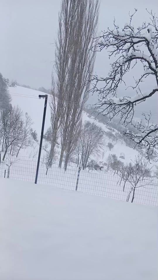 TikTok video thumbnail by fluxyzz1