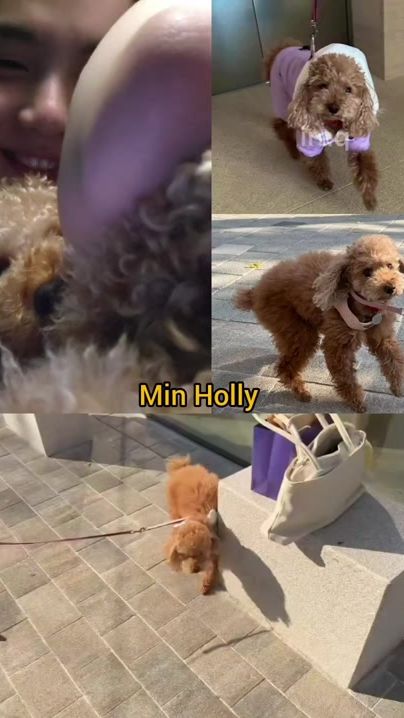 TikTok video thumbnail by hpl812