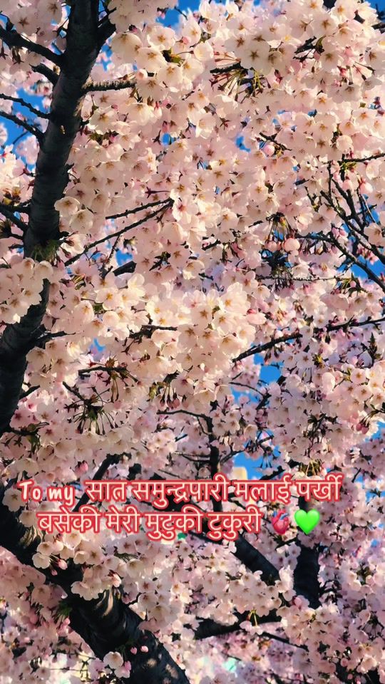 TikTok video thumbnail by luckybhatta2