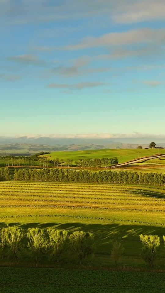 TikTok video thumbnail by liamross070