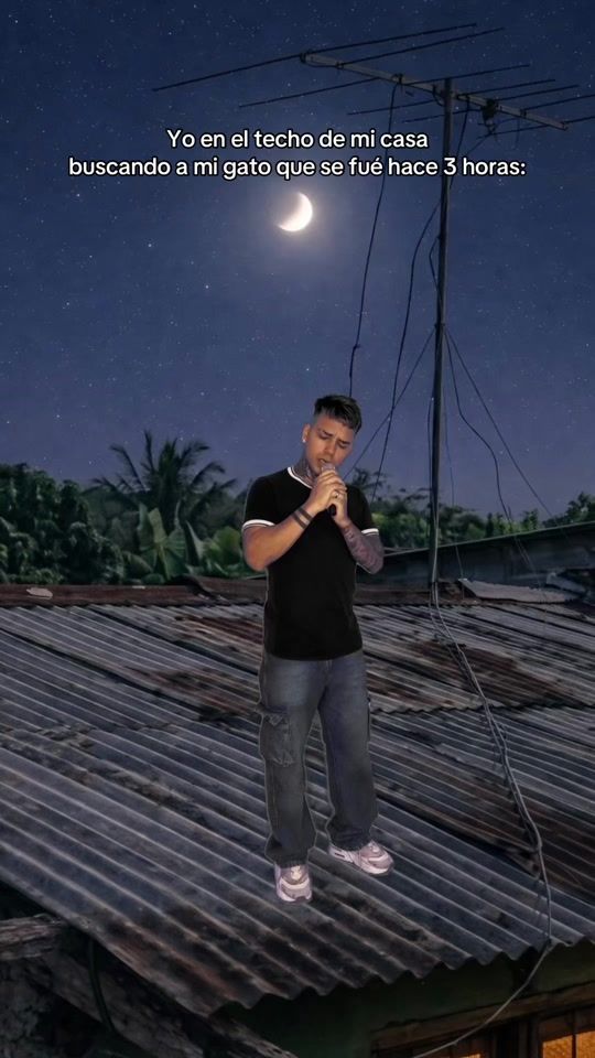 TikTok video thumbnail by liosoto10
