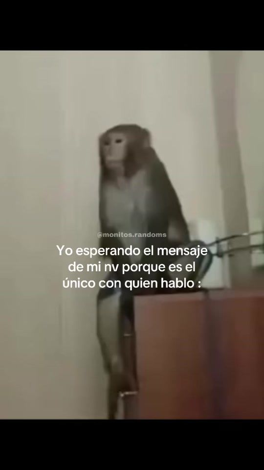 TikTok video thumbnail by monitos.randoms