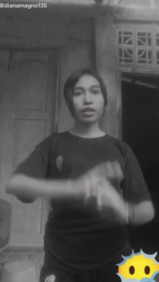 TikTok video thumbnail by neldi250