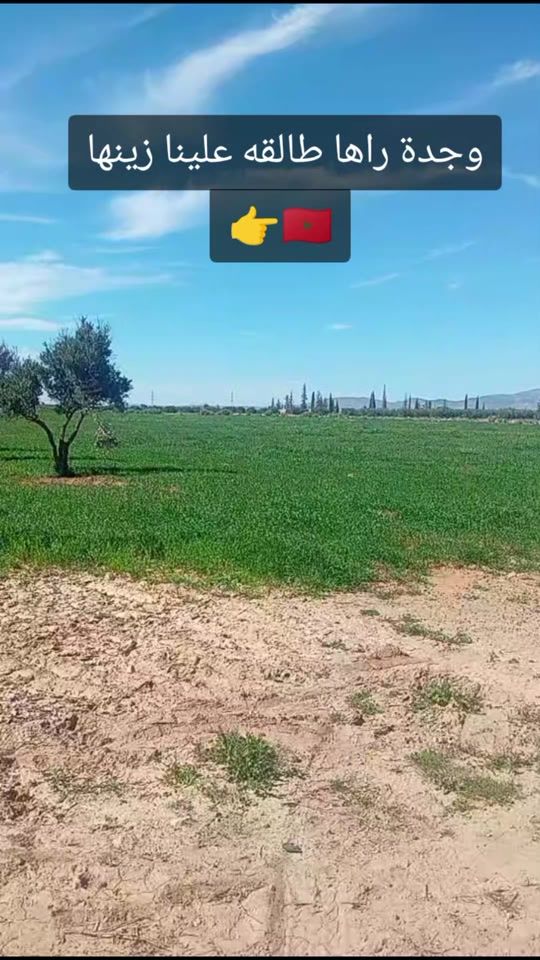 TikTok video thumbnail by yawjda48