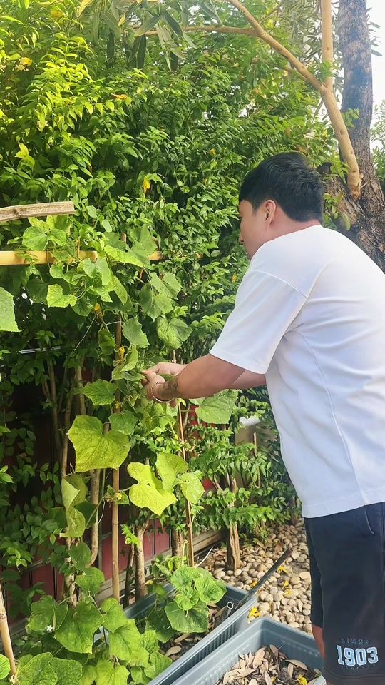 TikTok video thumbnail by alumilightkitchen7