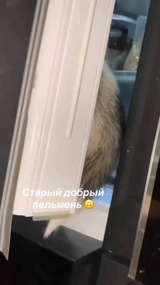 TikTok video thumbnail by mirsvets