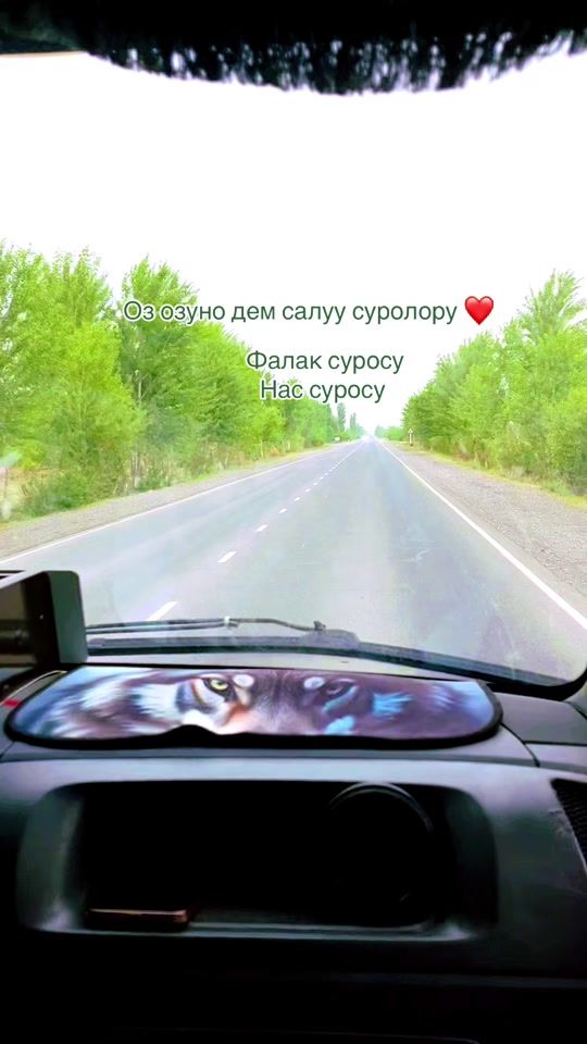 TikTok video thumbnail by jashoo868