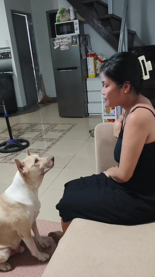 TikTok video thumbnail by teamtheo101