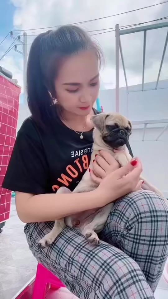 TikTok video thumbnail by gift_gift1