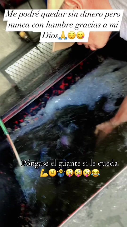 TikTok video thumbnail by eljefe03_.0