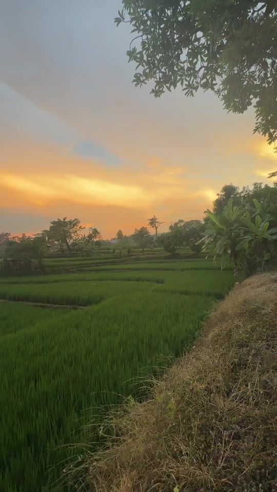 TikTok video thumbnail by picchi_as