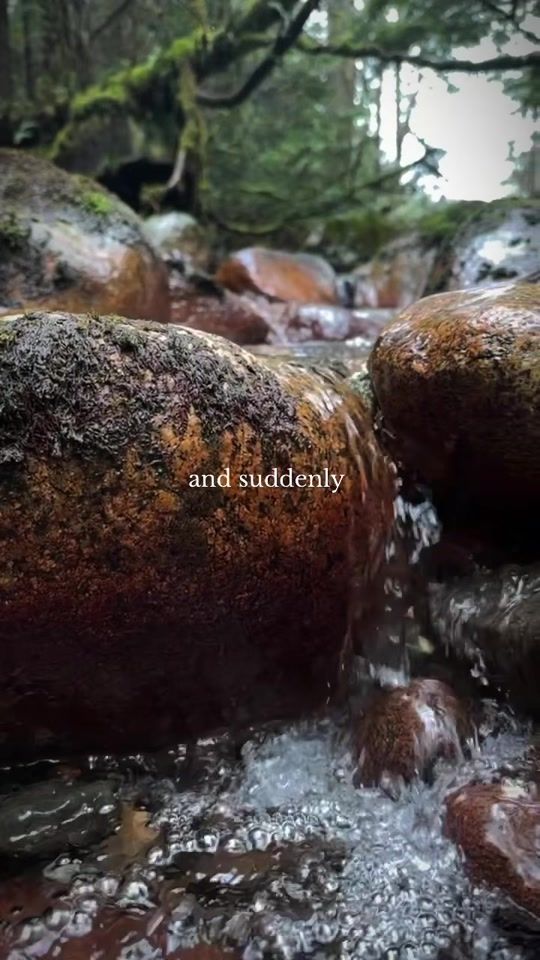 TikTok video thumbnail by wanderful_in_nature