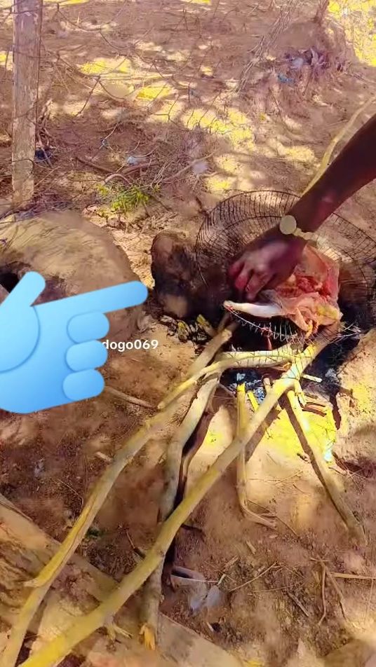 TikTok video thumbnail by amade.ouederago3