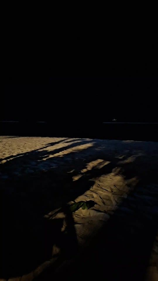 TikTok video thumbnail by kattappa64