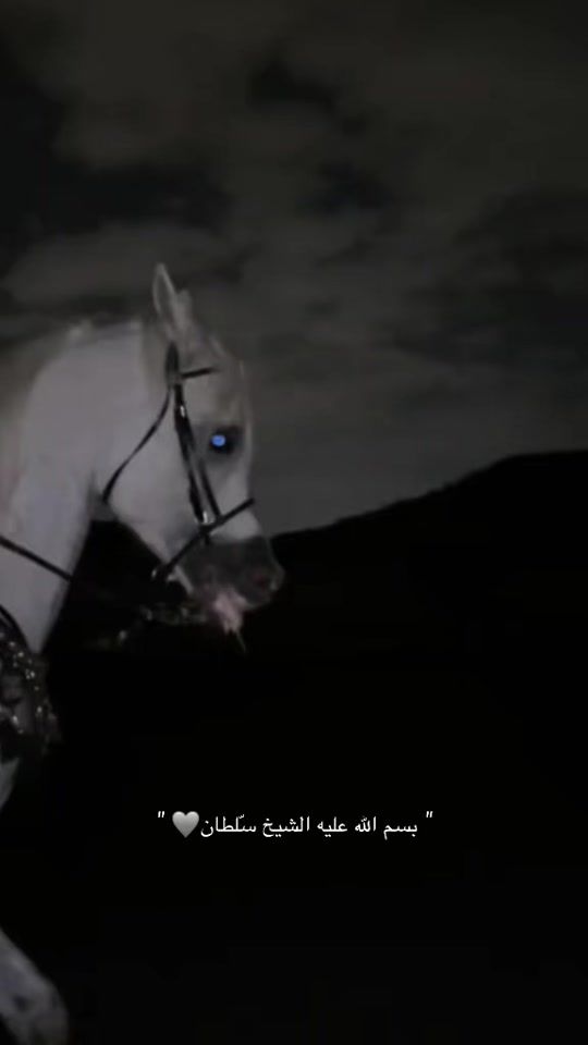 TikTok video thumbnail by jxiil.3