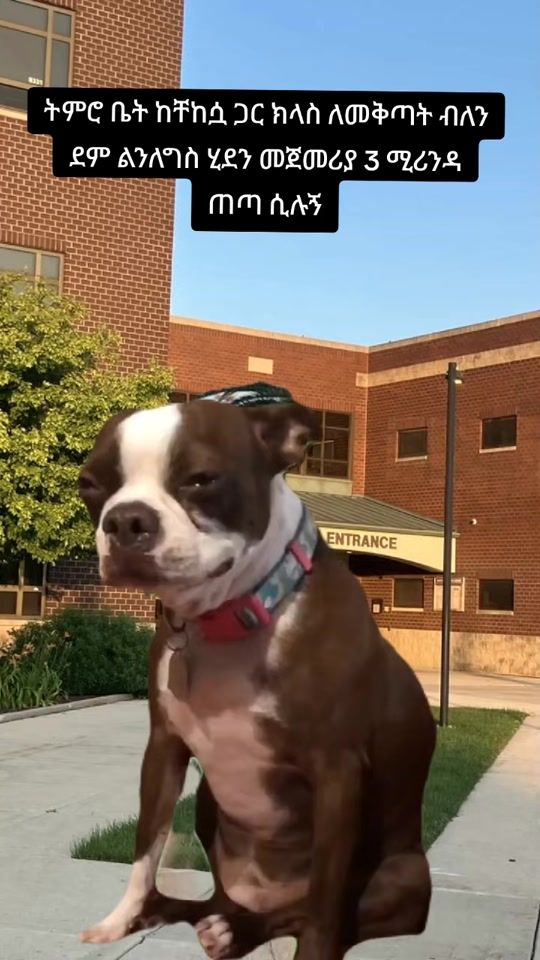 TikTok video thumbnail by nati_meme7