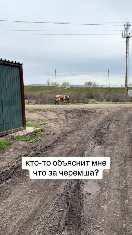TikTok video thumbnail by djnarodnii