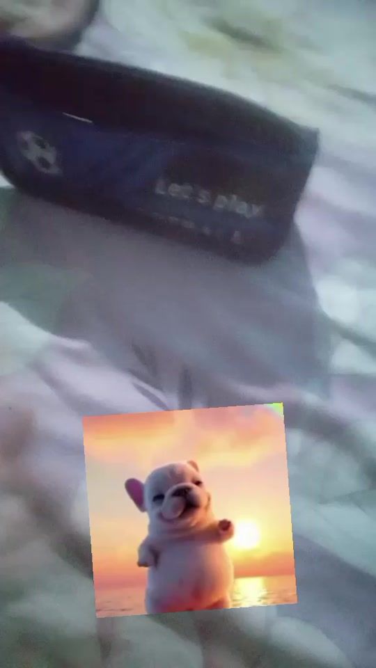 TikTok video thumbnail by luiszgbarrios