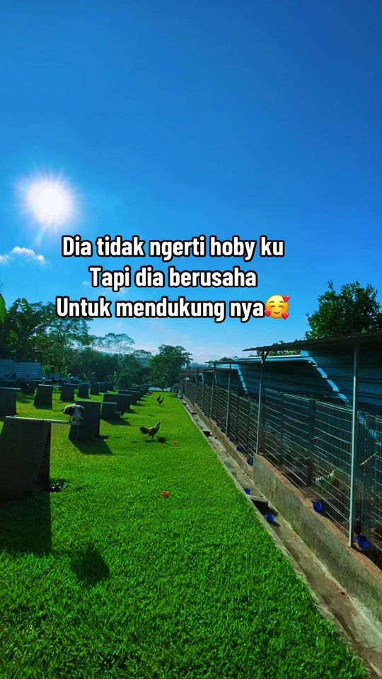 TikTok video thumbnail by sudarman1061