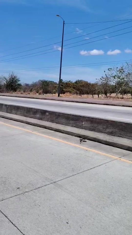 TikTok video thumbnail by atsalazarcr