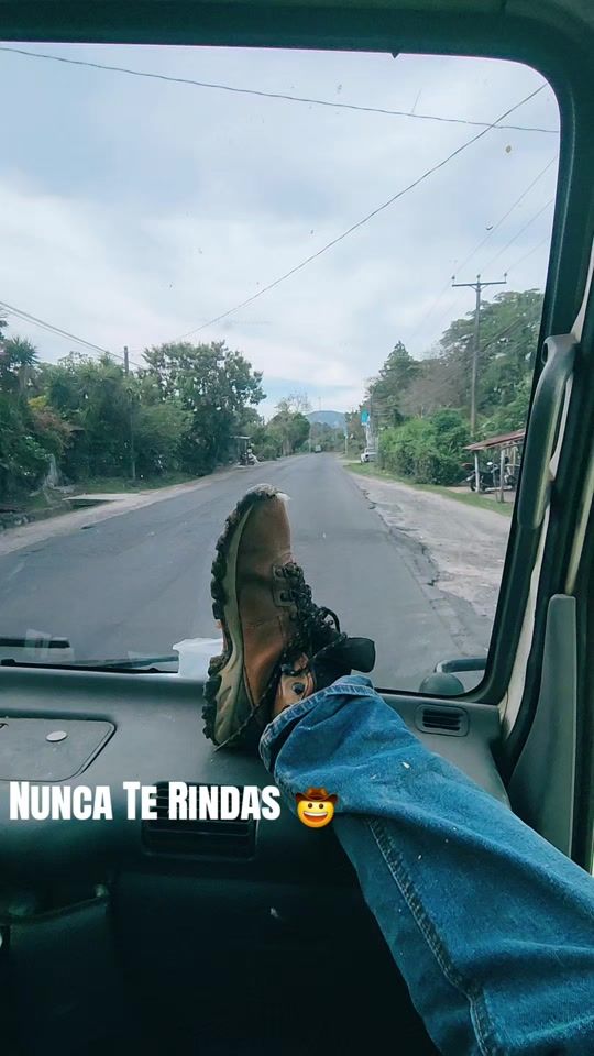 TikTok video thumbnail by _multi_aves_