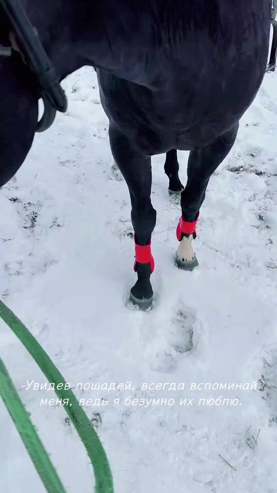 TikTok video thumbnail by 777dnk777
