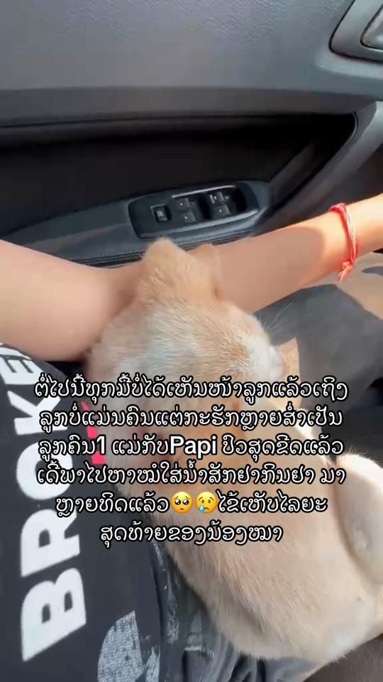 TikTok video thumbnail by pvsl_643