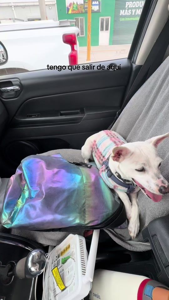 TikTok video thumbnail by ocaloca1216