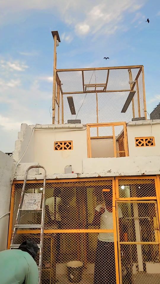 TikTok video thumbnail by ericgill25