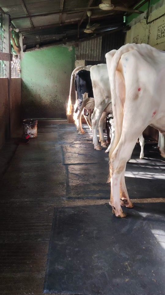 TikTok video thumbnail by md.hafijur.rohman44