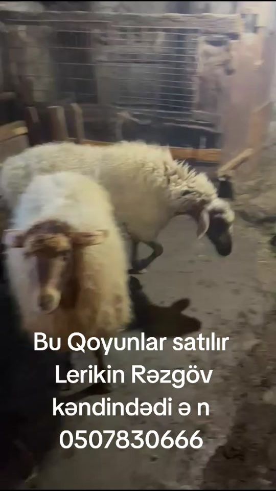 TikTok video thumbnail by fexreddin_43
