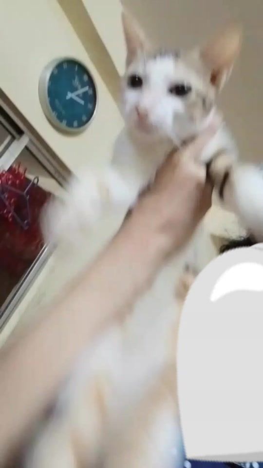 TikTok video thumbnail by sarjaydah2