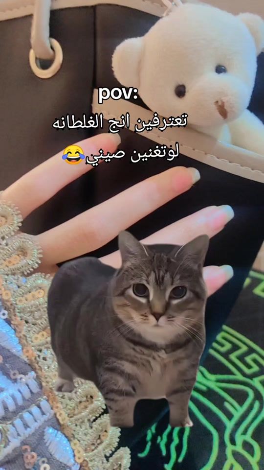 TikTok video thumbnail by 6fjsr