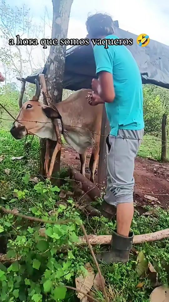 TikTok video thumbnail by annerflores543